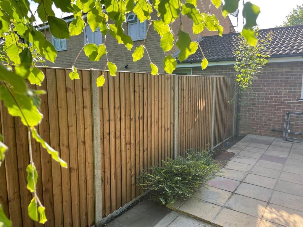 Closeboard fencing with concrete posts in golden light